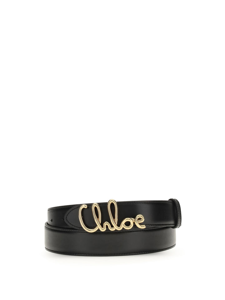 Iconic Belt 1