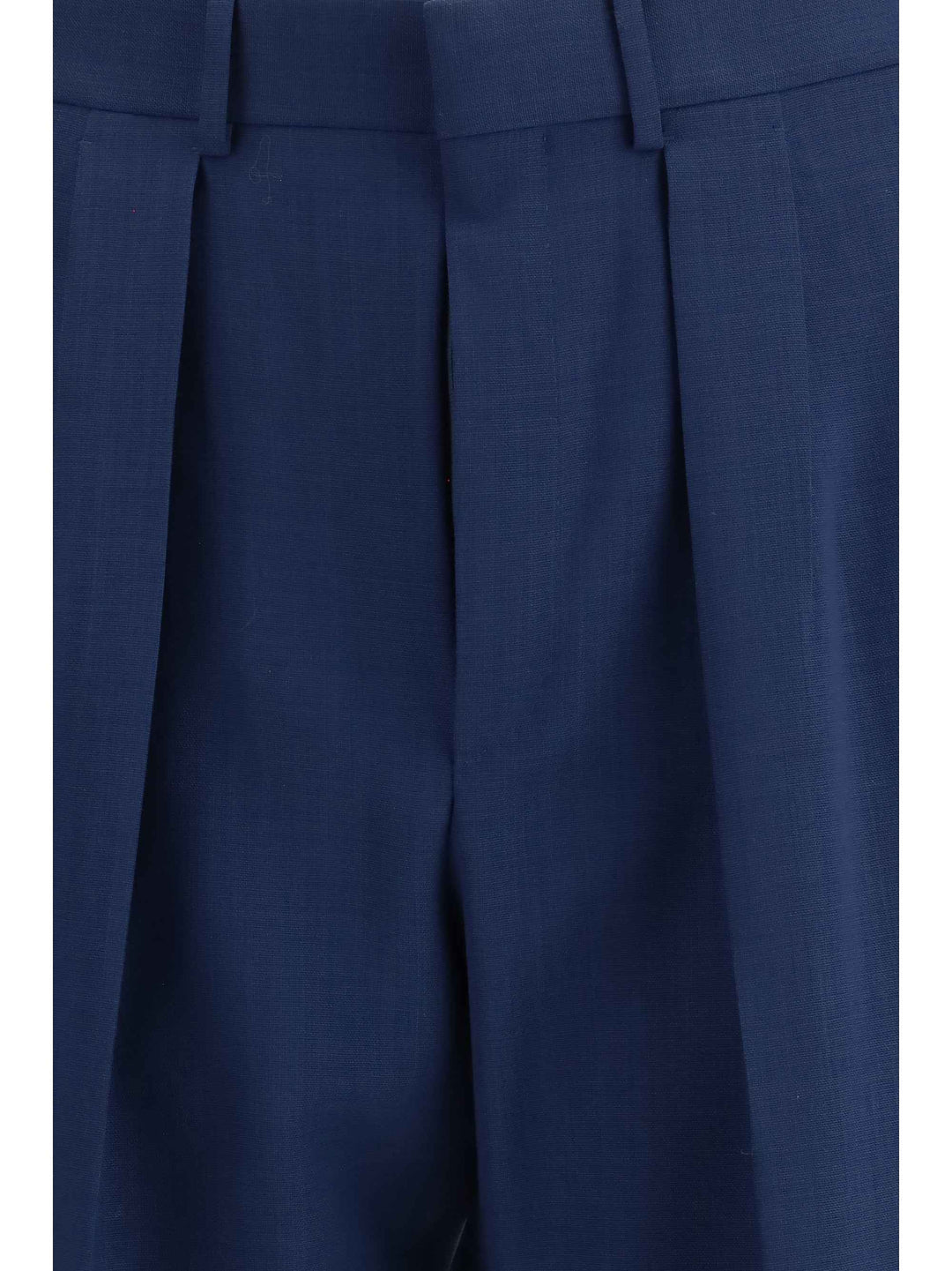 Pleated Pants