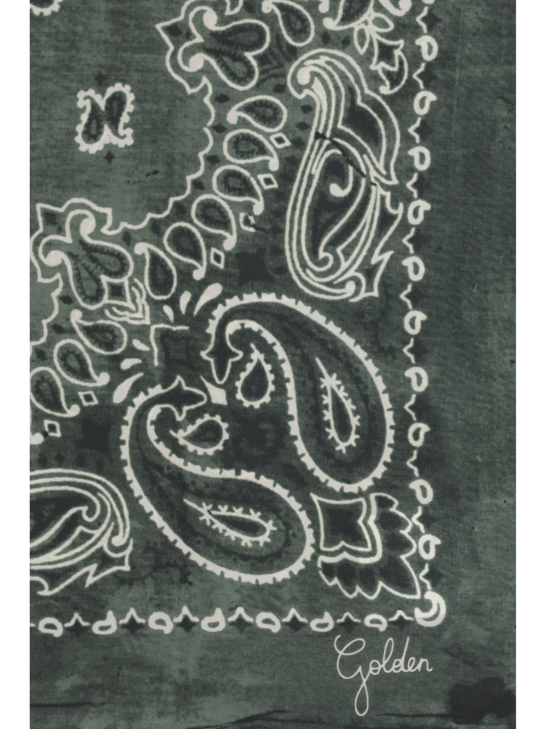 Golden paisley printed silk Scarf 3