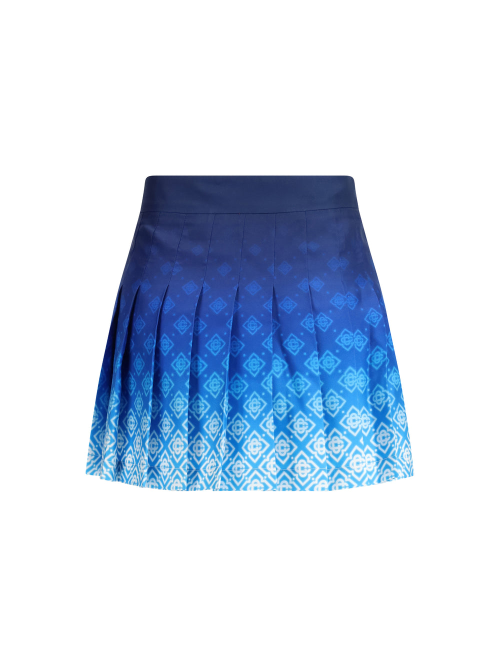 Pleated Mini Skirt 2