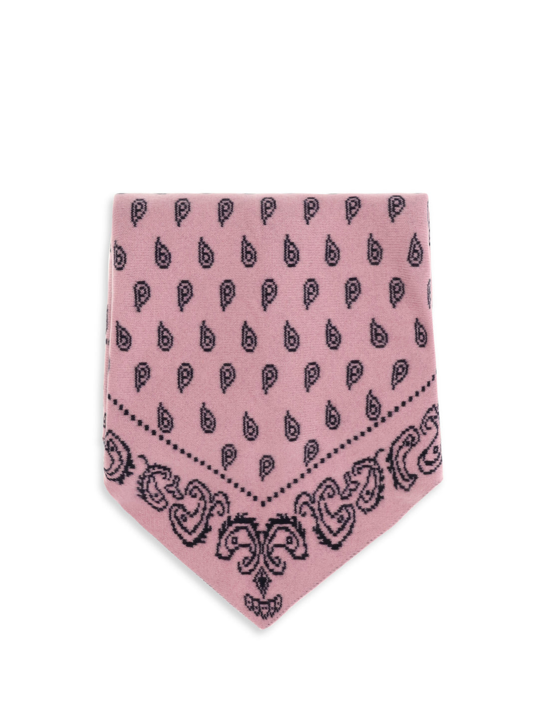 The Wild Rag Scarf 1