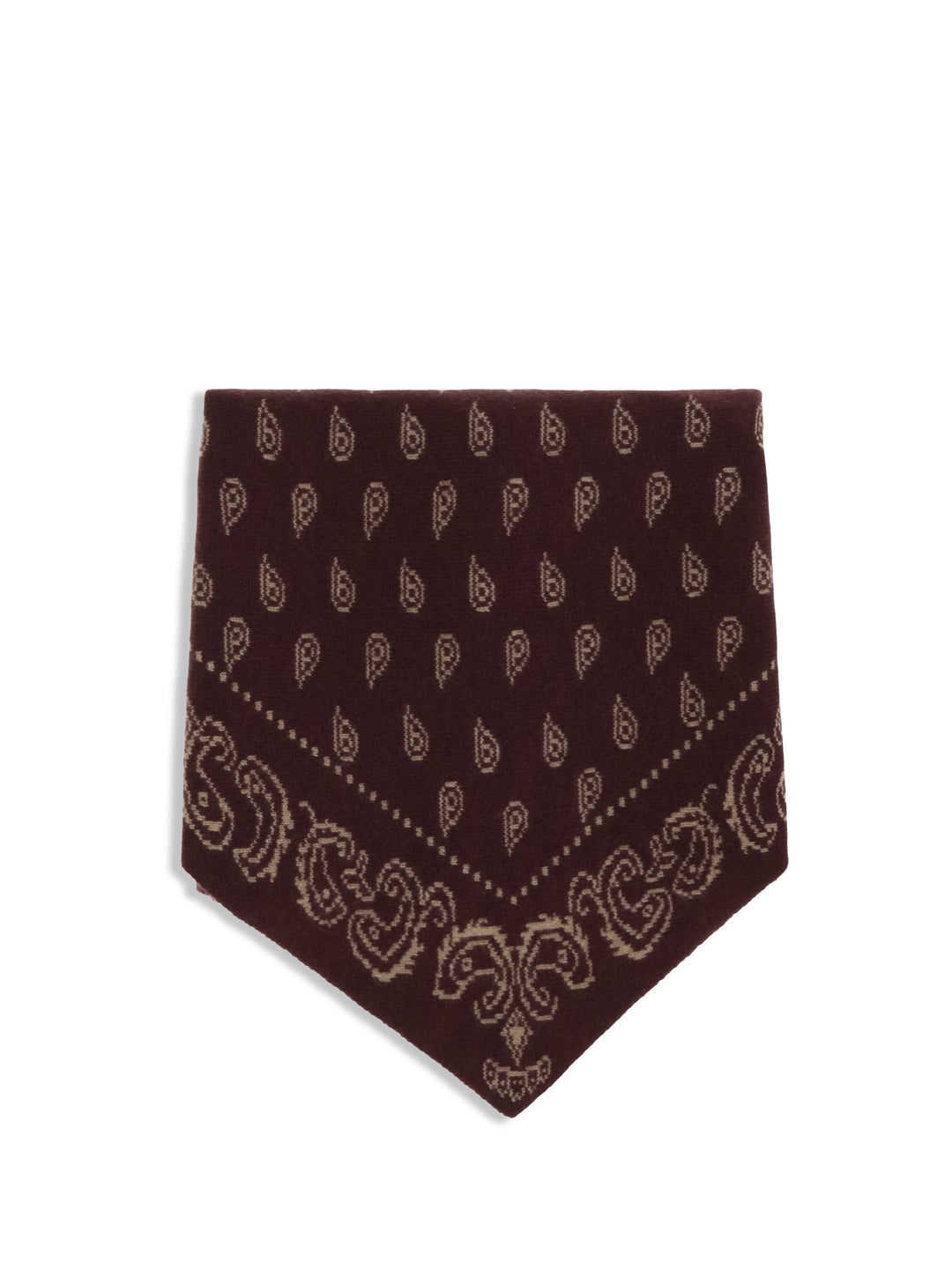 The Wild Rag Scarf 1