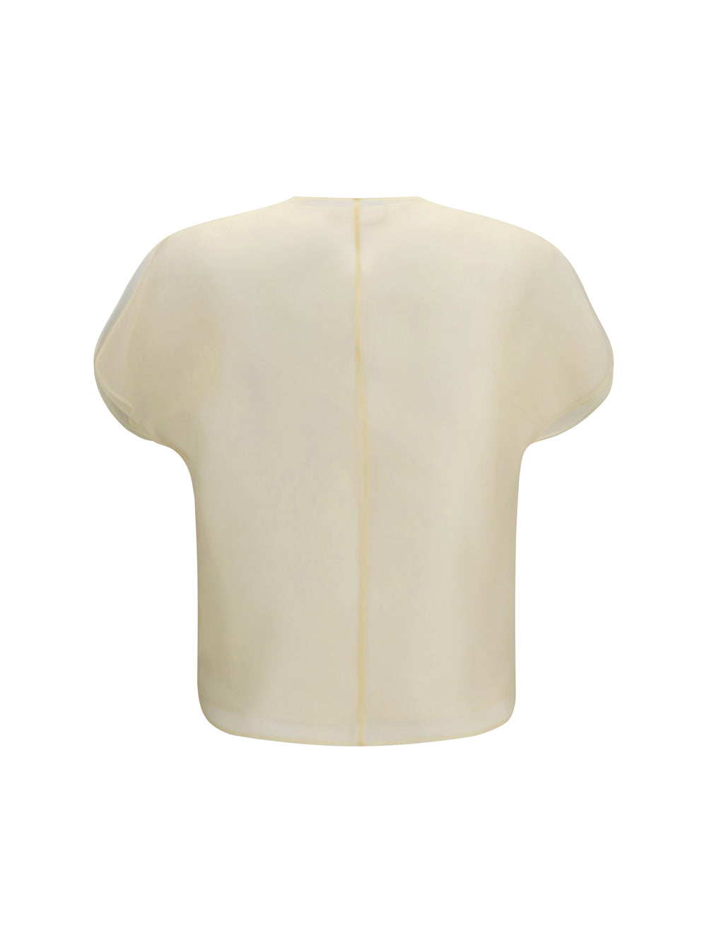 Briar silk organza Top 2