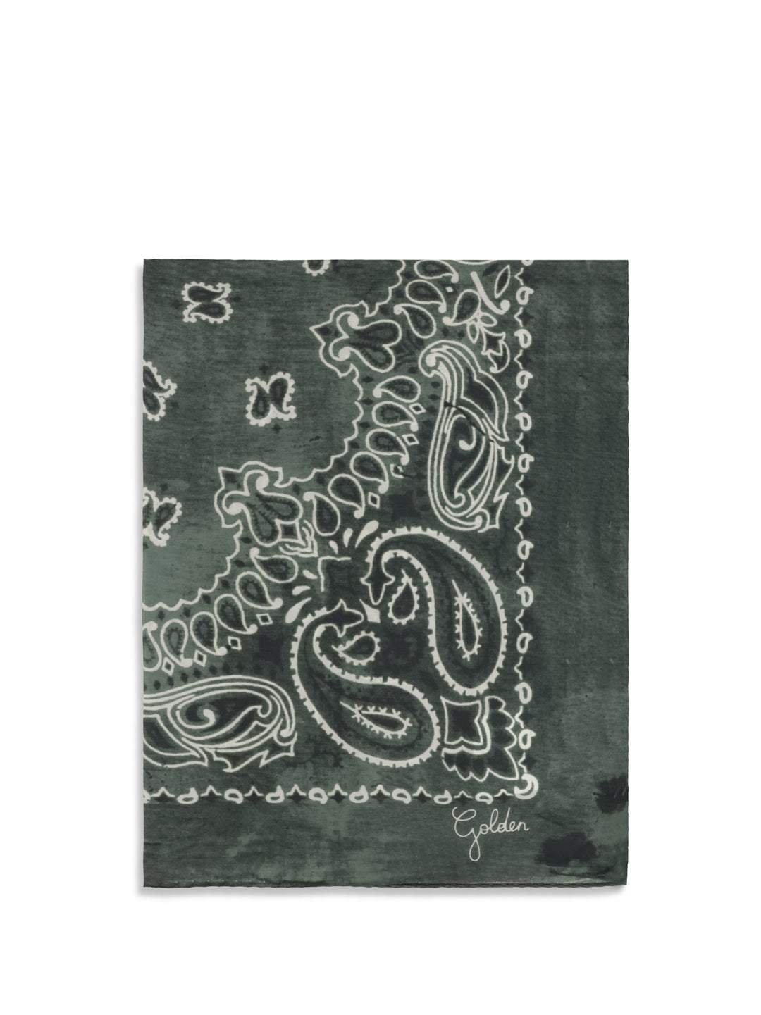 Golden paisley printed silk Scarf 1