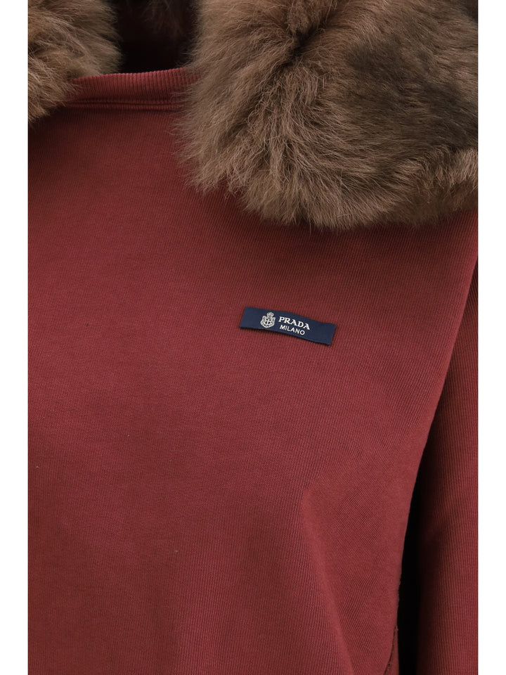 Sweatshirt with a shearling collar 3