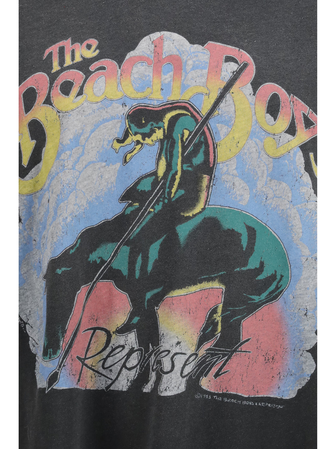 Beach Boys Endless Summer T-shirt 3