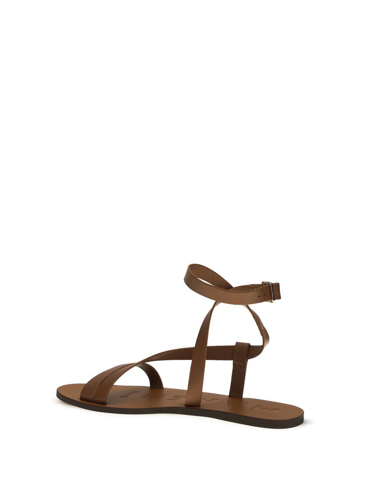 Canyon leather Sandals 3