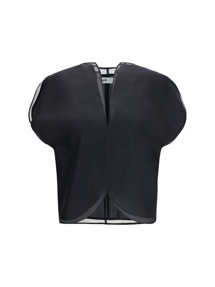 Briar silk organza Top 1