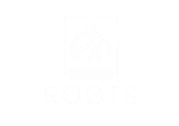 Fashion Roots