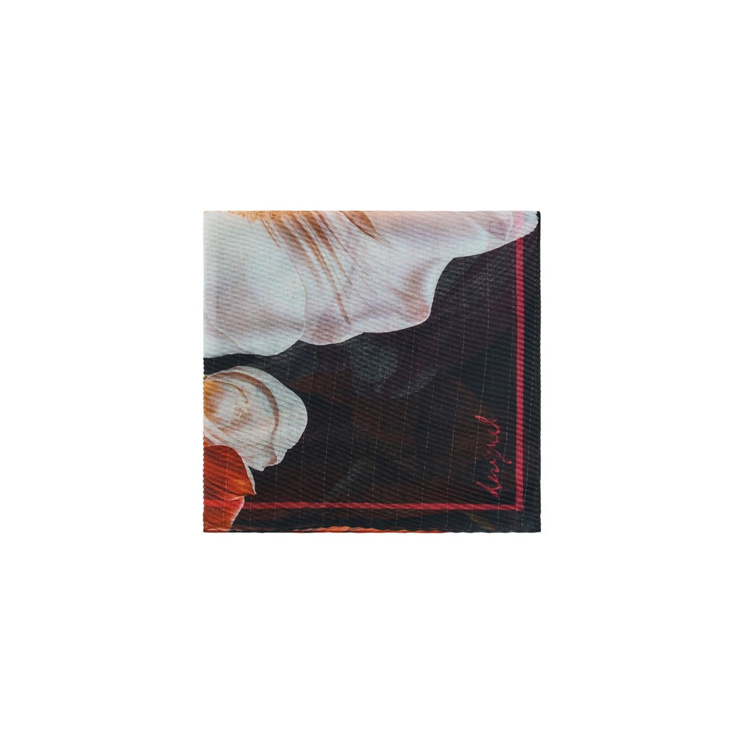 Desigual Women Scarve